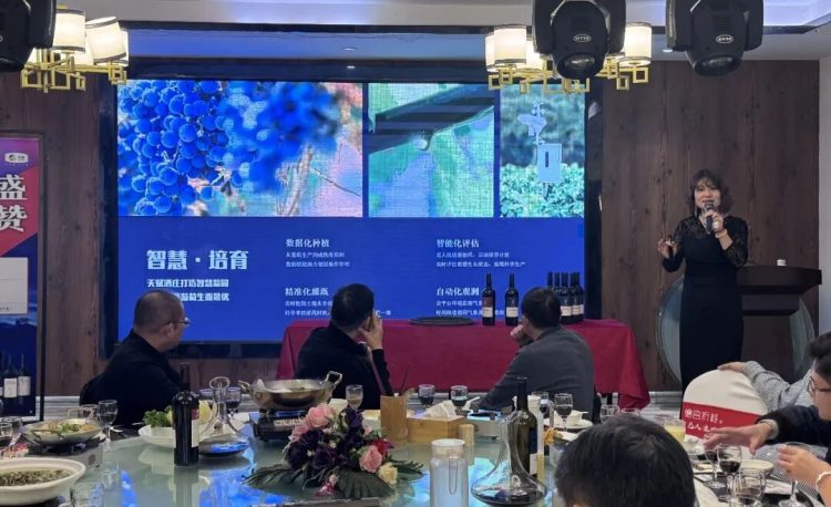 1763993926-4ffce04d92a4d6c