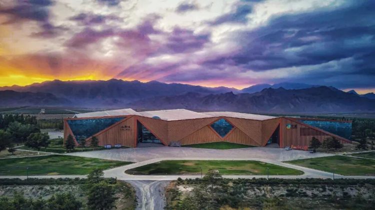 1763993933-4ffce04d92a4d6c