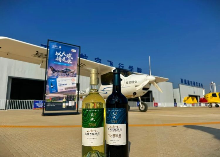 1763993927-4ffce04d92a4d6c