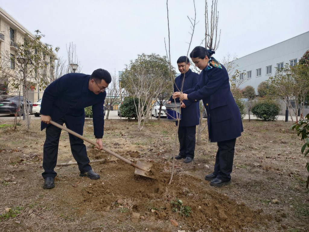 植绿护美践初心 凝心聚力添新景——亳州中心利辛东收费站开展植树活动